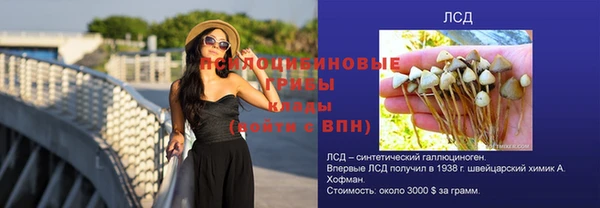гашик Надым