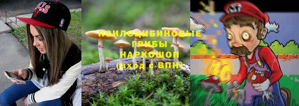 прущий лед Дубна