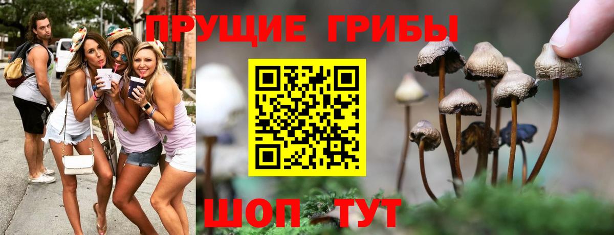 Псилоцибиновые грибы прущие грибы  наркота  Карталы 
