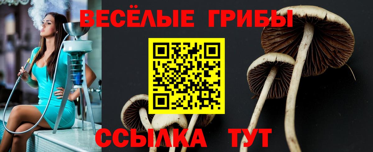 Карталы  Галлюциногенные грибы Magic Shrooms  Вход с VPN 