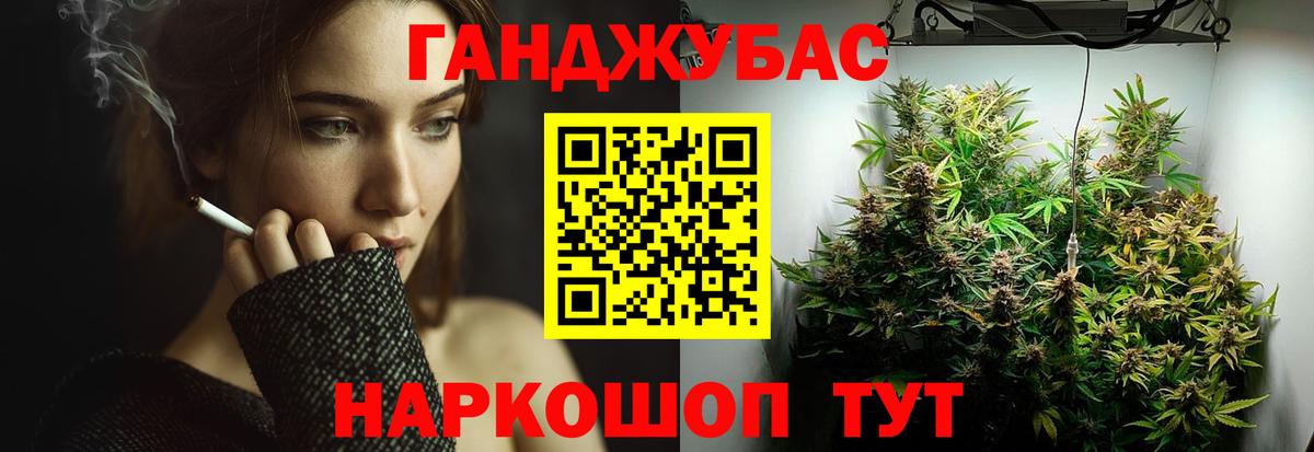 Бошки Шишки THC 21%  Бошки Шишки VHQ  Конопля план  Карталы 